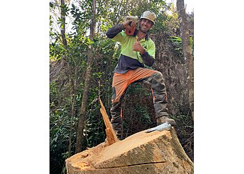 Cairns Tree Fellers