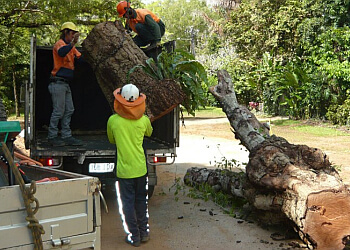 Cairns Tree Fellers