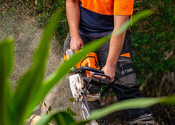 Callala Tree Services