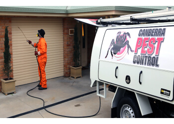 3 Best Pest Control Companies in Canberra - Expert Recommendations