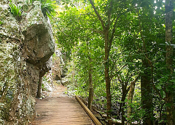 Cape Hillsborough National Park
