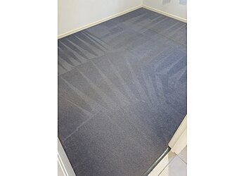 Brisbane Carpet Cleaning Service Carpestology image 1