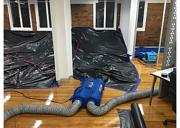 Carpet Cleaning Kings