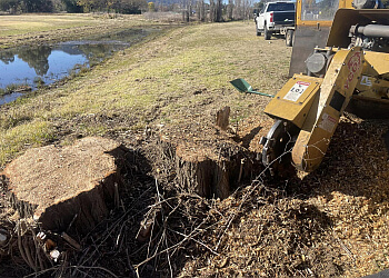 Caterpillar Tree Services