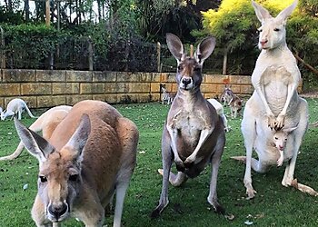 Caversham Wildlife Park