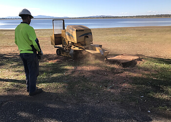 Chandler’s Tree Service
