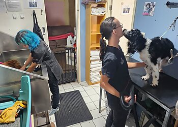 Charms Canine Cottage