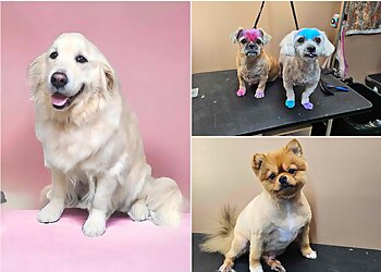 Charms Canine Cottage