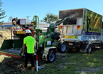 Cheaper Than All The Rest Tree Lopping