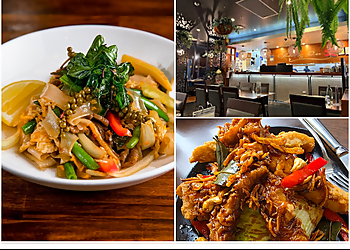 Chong Co Thai Kingston