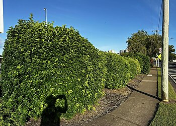 Chrispy’s Lawn & Garden Maintenance