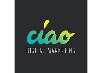 Warrnambool Advertising Agencies Ciao Digital Marketing image 1