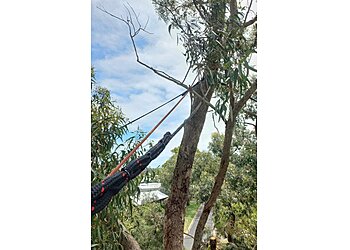 Climb Right Tree Services