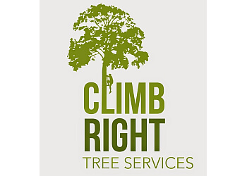 Climb Right Tree Services