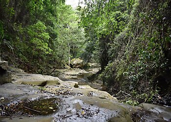 Wollongong Hiking Trails  Clover Hill trail image 1