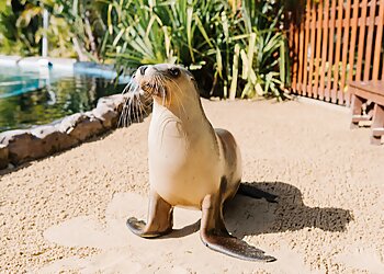 Coffs Coast Wildlife Sanctuary
