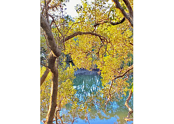 Coffs Creek Walk and Cycleway