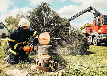 Country Vic Tree Removal