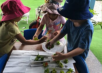 Cradle To Crayons Education and Care