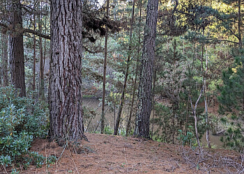 Creswick Regional Park