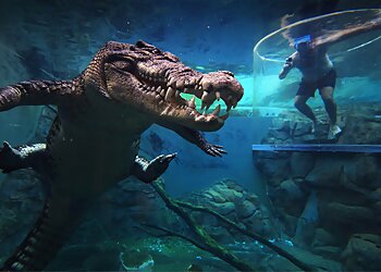 Crocosaurus Cove
