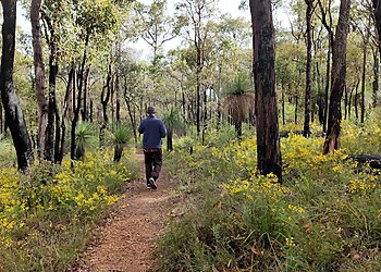 Crooked Brook Forest