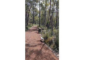 Crooked Brook Forest