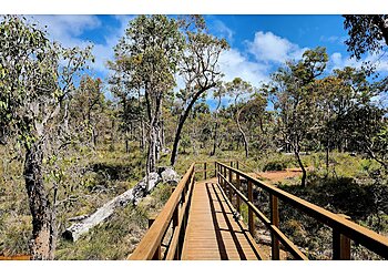 Bunbury Hiking Trails Crooked Brook Forrest image 1