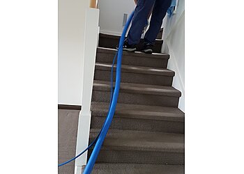 Crystal Carpet Cleaning
