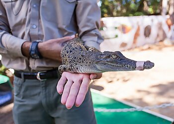Currumbin Wildlife Sanctuary