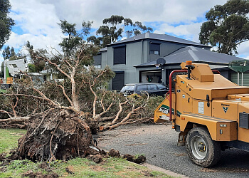 Cutting Edge Tree Management