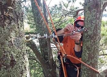 Cutting Edge Tree Management