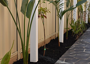 DMBL Building and Landscaping