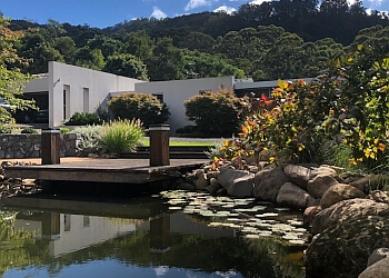 DP Landscaping & Design