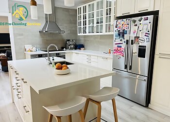 DS Pro Cleaning Services