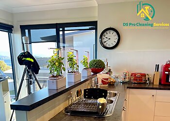 DS Pro Cleaning Services