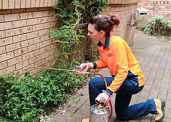 Da-Terminator Pest Management