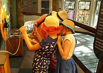 Daisy Hill Koala Centre