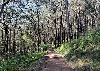 Dandenong Ranges National Park