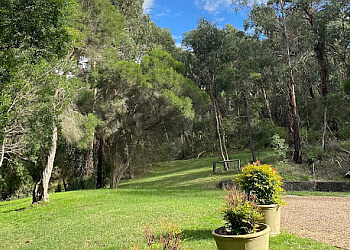 Dandenong Ranges National Park
