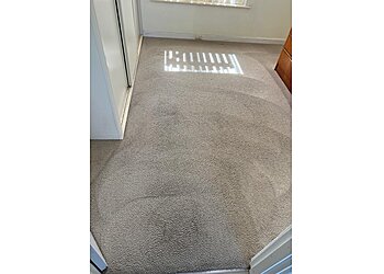 Delight Carpet Care