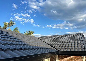 Delux Roof Restorations