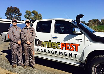 Dentec Pest Management