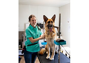 Diesel & Blue Doggie Daycare & Grooming