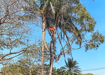 Diverse Asset Maintenance Services