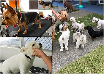 Doggie Playmates Daycare and Grooming