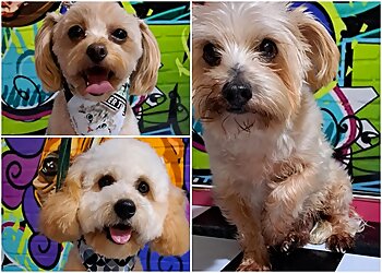Doghouse Salon & Barkery