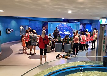 Dolphin Discovery Centre