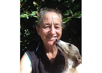 Don't Fret Pet Brisbane