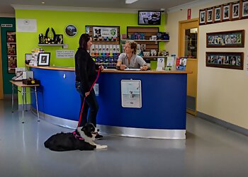 Doyalson Animal Hospital
